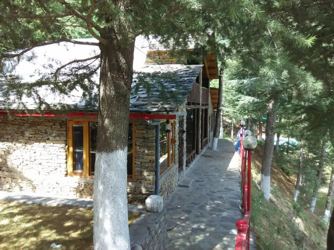 Hotel Rajgarh Hills Exterior foto