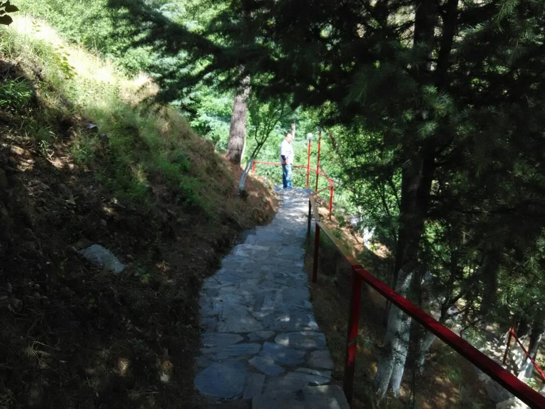 Hotel Rajgarh Hills Exterior foto